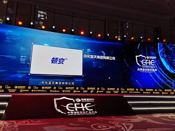 中化藍天榮獲CFIC2019“十大民族企業(yè)”稱號
