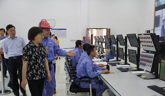 湖南省常務副省長謝建輝調研中化藍天郴州基地